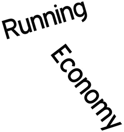 Running economy