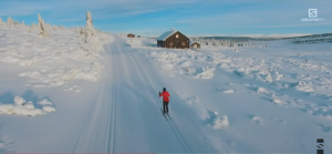Cross country skier with endless snow on the horizon