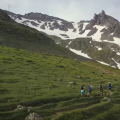 Runners on an alpine trail