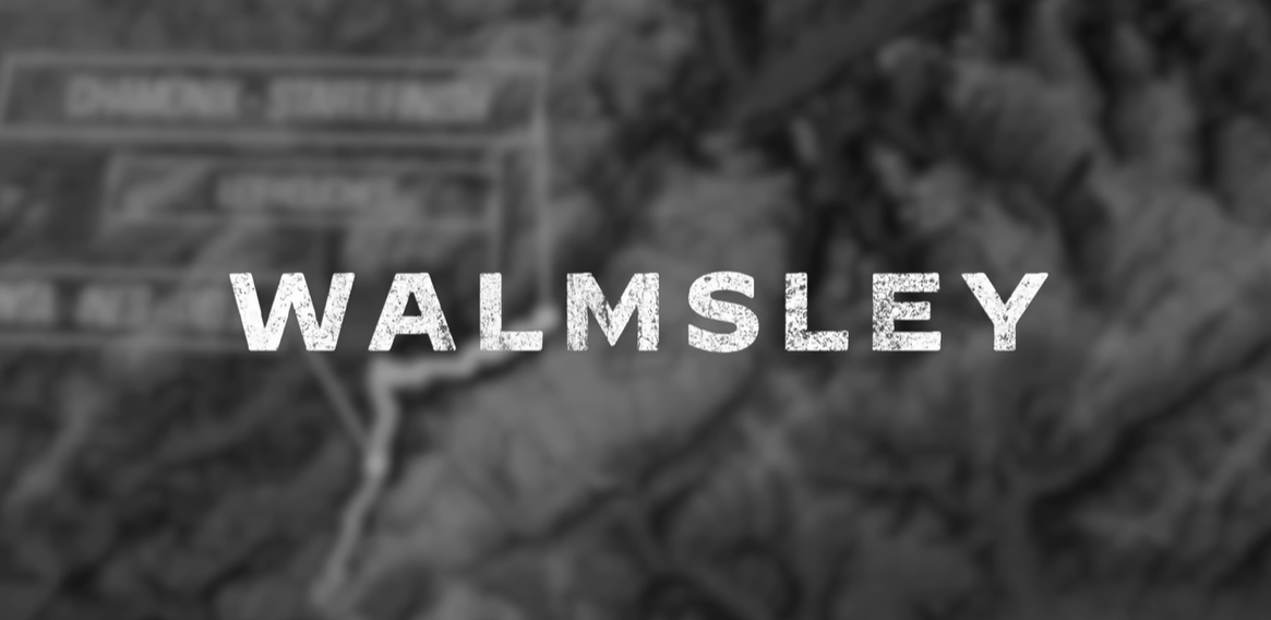 Walmsley: The Film